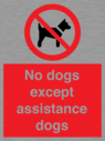 no-dogs-except-assistance-dogs~